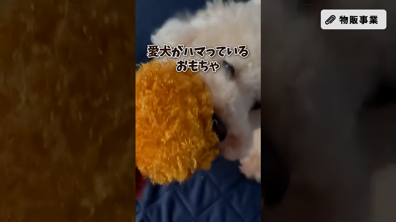 修正_わんこのSNS運用_商品紹介