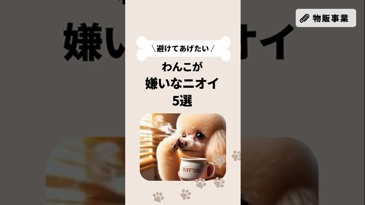 修正_わんこメディア運用