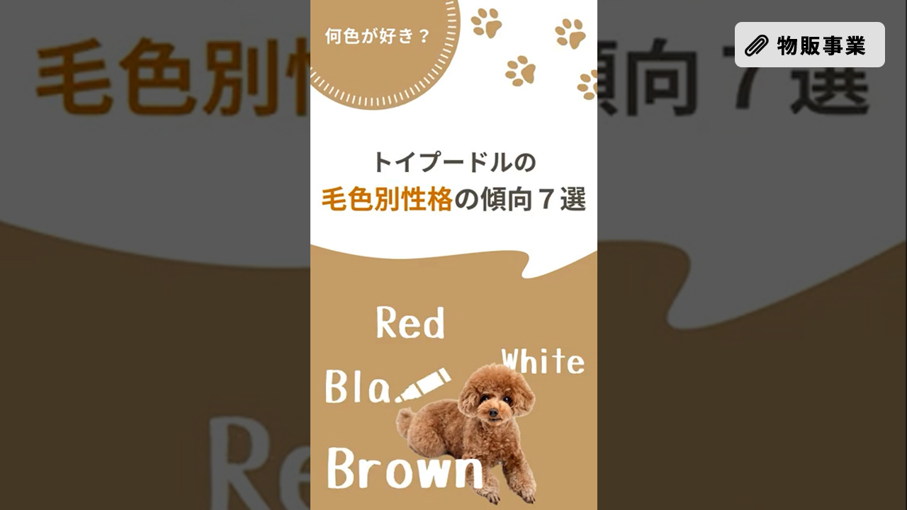 修正_わんこメディア運用2